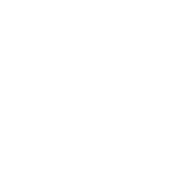 animals icon